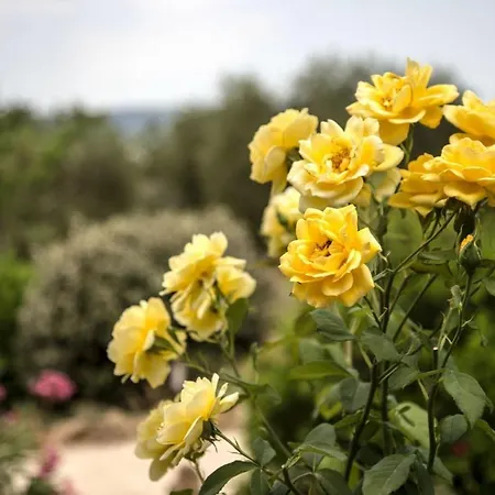 Chiugi By Posarellivillas 빌라